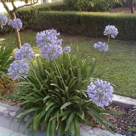 Vin Apartment Trogir